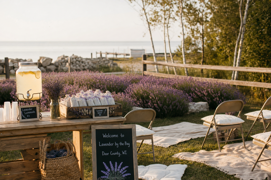 Door County lavender farm event setup in Baileys Harbor, Wisconsin with lavender rows, picnic seating, and Green Bay view