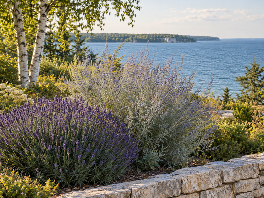 Lavender and Russian sage in a limestone-edged Door County garden above Green Bay.