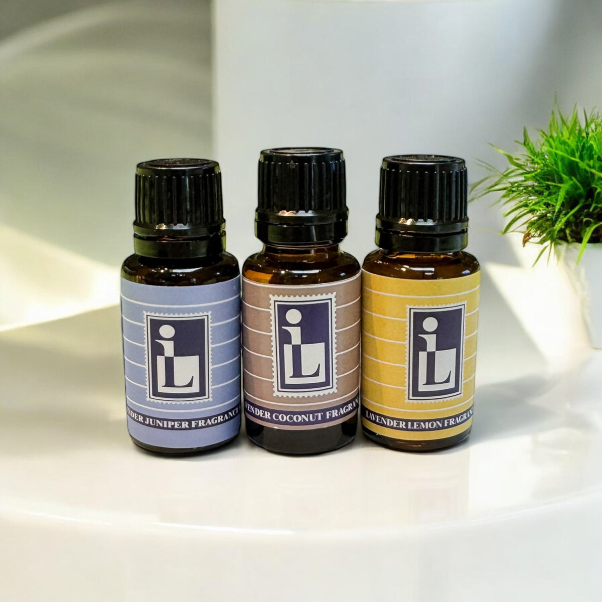 Fragrance Oils & Diffusers