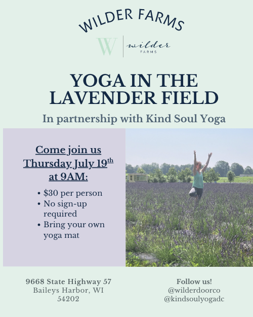 Yoga in the Lavender Fields