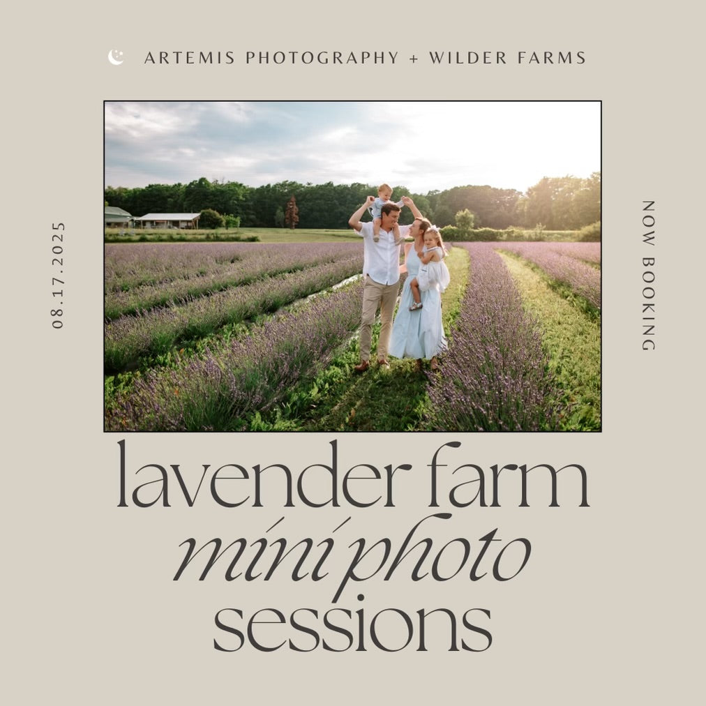 Lavender Farm Mini Photo Sessions