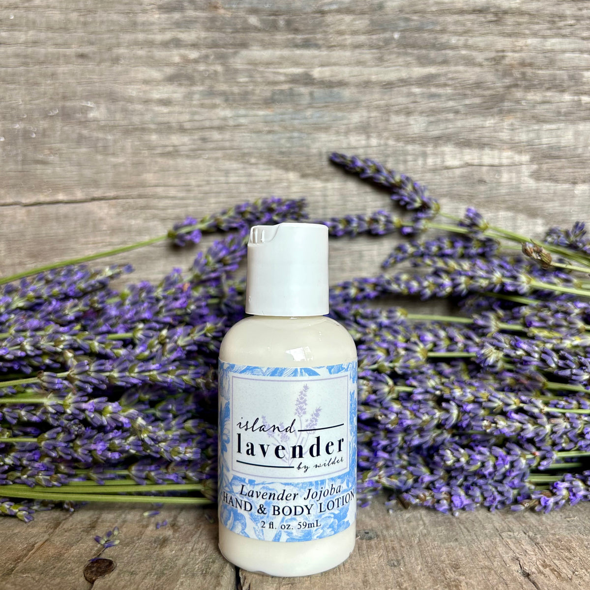 Lavender Jojoba Mini Lotion (2oz)