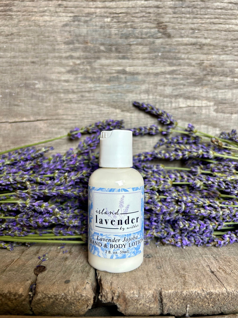 Lavender Jojoba Mini Lotion (2oz)