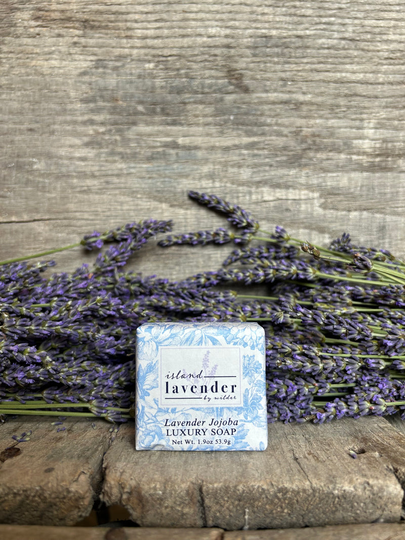 Lavender Jojoba Shea Butter Bar Soap (2 Oz.)
