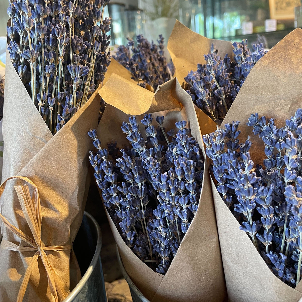 Large dried lavender bundle from Island Lavender